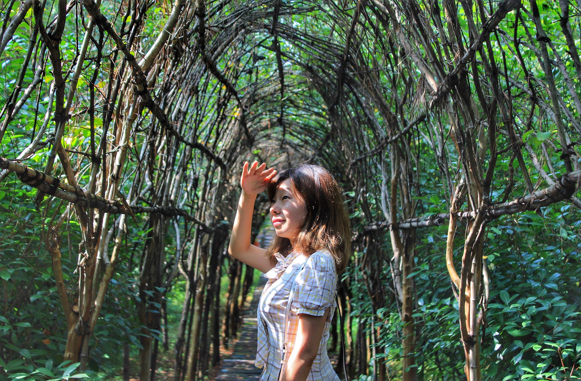 高淳最美的小镇,高淳得半庄园地址