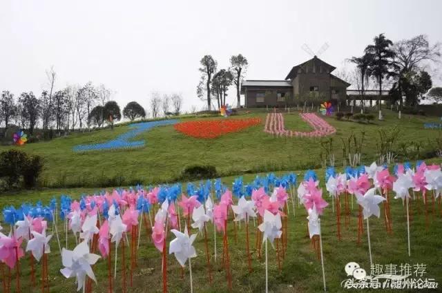 七夕约起！神农国际大酒店首届“七彩风车花海节+梦幻冰雪泡泡秀