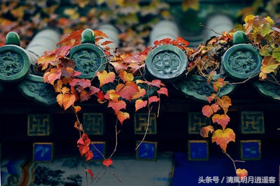 散文诗大全100首经典朗诵,100篇名家经典散文800字