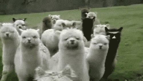 学生遇到人际交往困难如何应对,大学生如何化解心理冲突或挫折