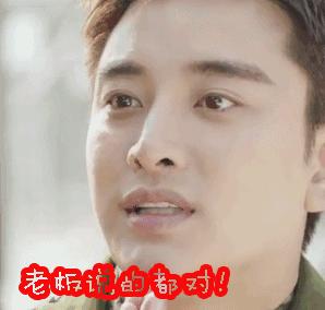 法定代表人和股东有什么区别,有限公司股东法人监事都是干嘛的