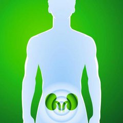 最全伤肾中药名单，看到哪些你会中枪呢？