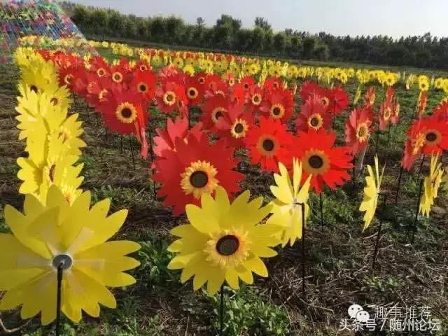 七夕约起！神农国际大酒店首届“七彩风车花海节+梦幻冰雪泡泡秀