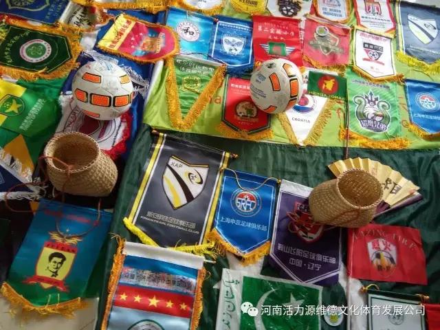 河南维德青少年足球队,维德青少年足球队