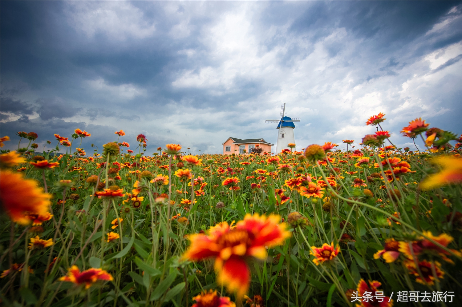 日照花仙子风景区团购,日照花仙子风景区为什么拆了