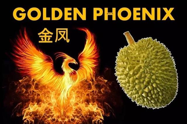 马来西亚各种榴莲名称,马来榴莲品种介绍