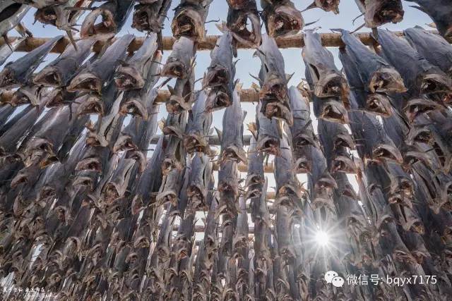 梦幻天堂挪威十四天自驾大穿越,挪威小环线自驾游