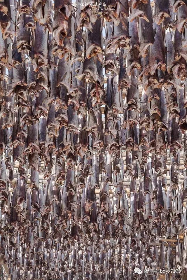 梦幻天堂挪威十四天自驾大穿越,挪威小环线自驾游