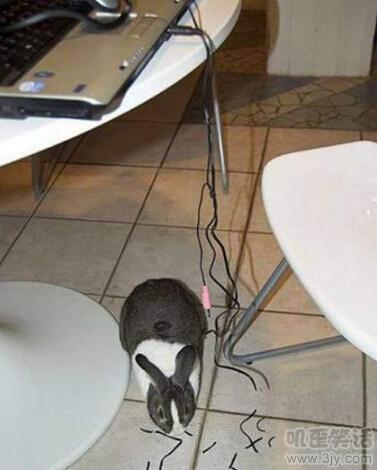 经人介绍去国外娶媳妇靠谱吗,22岁倒插门女婿