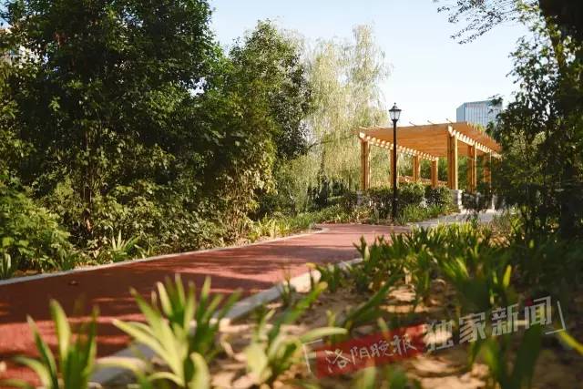 洛阳很美的公园,洛阳新增两个公园