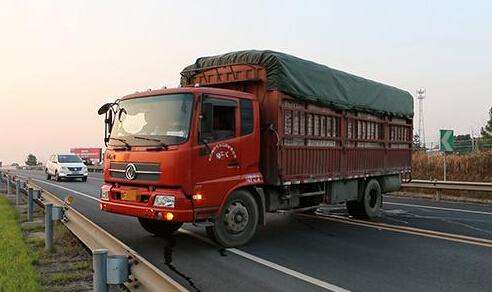 大货车司机不会刹车,大货车司机命都不要了还怕什么