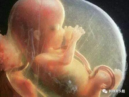 怀孕多久后服药对胎儿有影响,准妈妈用药需谨慎怀孕期用药指南