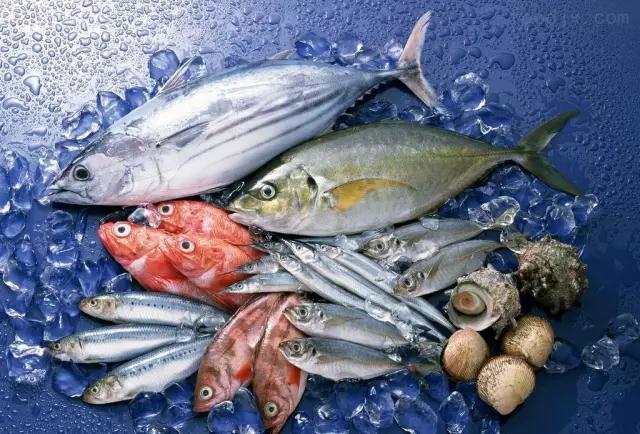 海鲜采购需要关注什么,海鲜采购防骗攻略