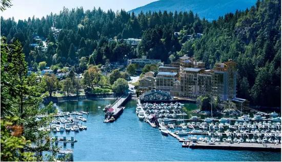 和海豚一起玩的地方,与海豚接触的地方