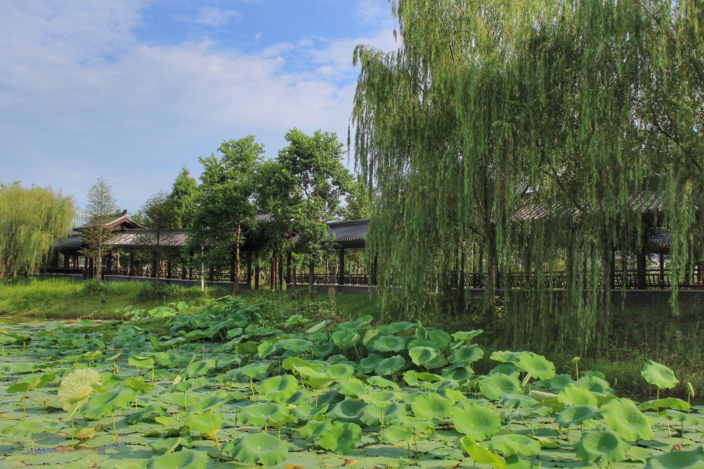 高淳最美的小镇,高淳得半庄园地址