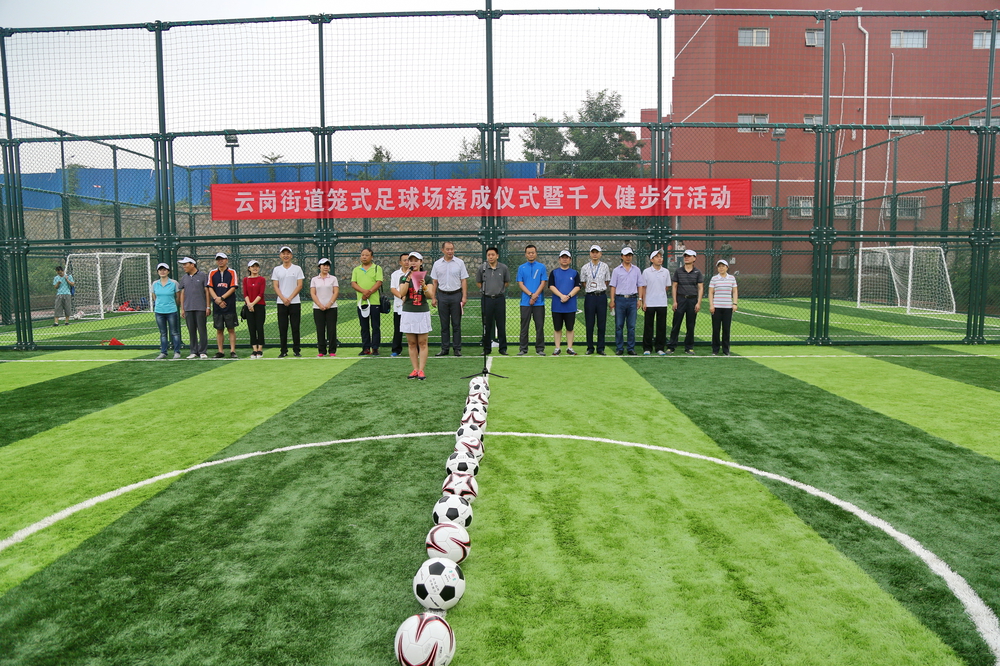 新建11人制标准足球场,丰台体育中心笼式足球场