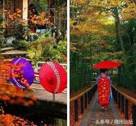 七夕约起！神农国际大酒店首届“七彩风车花海节+梦幻冰雪泡泡秀