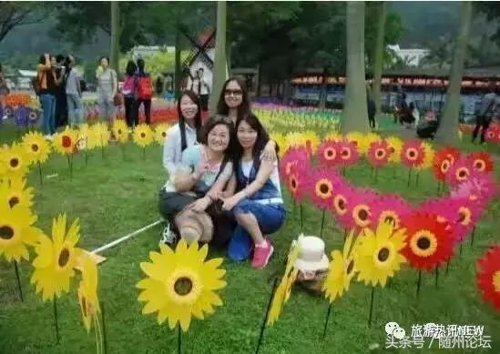 七夕约起！神农国际大酒店首届“七彩风车花海节+梦幻冰雪泡泡秀