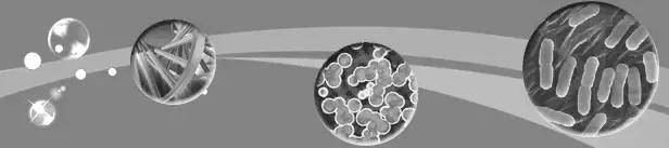 CG运动品牌,cg运动套装