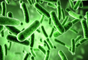 小孩鼻子上面头疼是什么原因,孩子鼻子不通头疼怎么回事