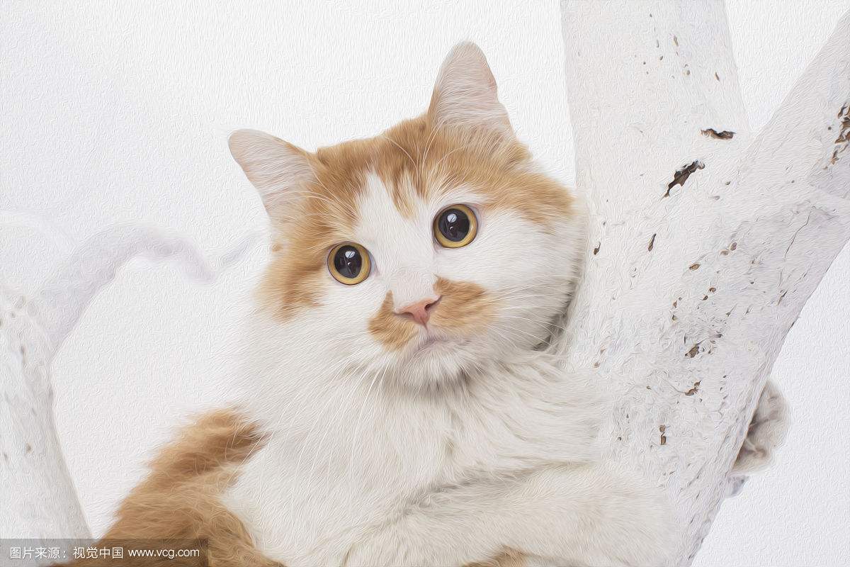 搞笑段子我说的都是大实话,经典搞笑段子我想要吃好吃的