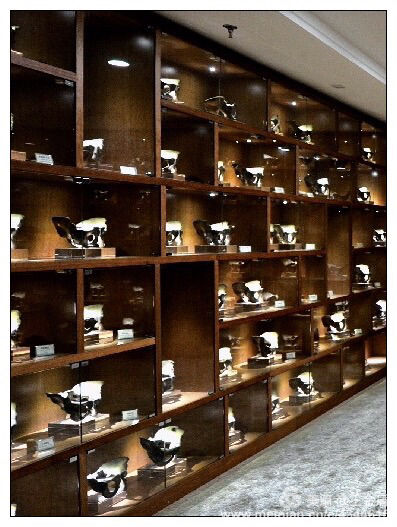 五大道经典建筑,五大道背后的故事