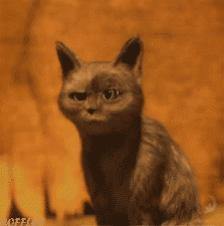 凌美钢笔有什么不一样的,凌美钢笔怎么选择