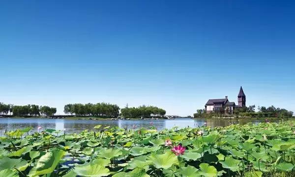 说走就走吧自驾环游,说走就走一起出发去旅行