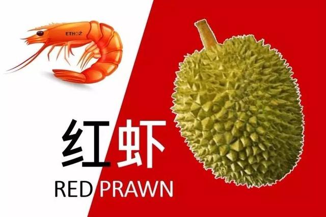 马来西亚各种榴莲名称,马来榴莲品种介绍