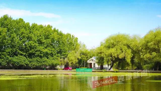 洛阳很美的公园,洛阳新增两个公园