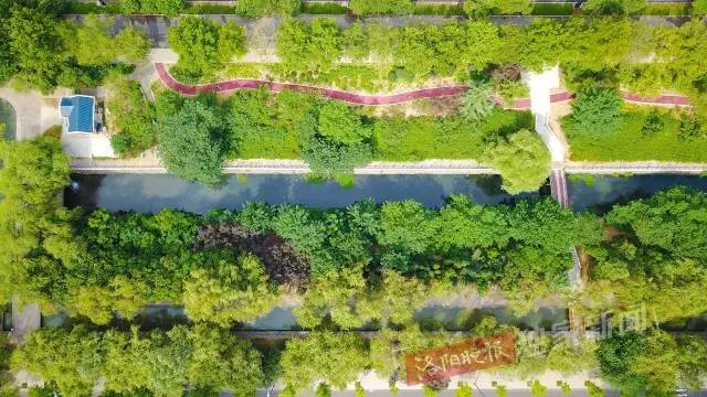 洛阳很美的公园,洛阳新增两个公园