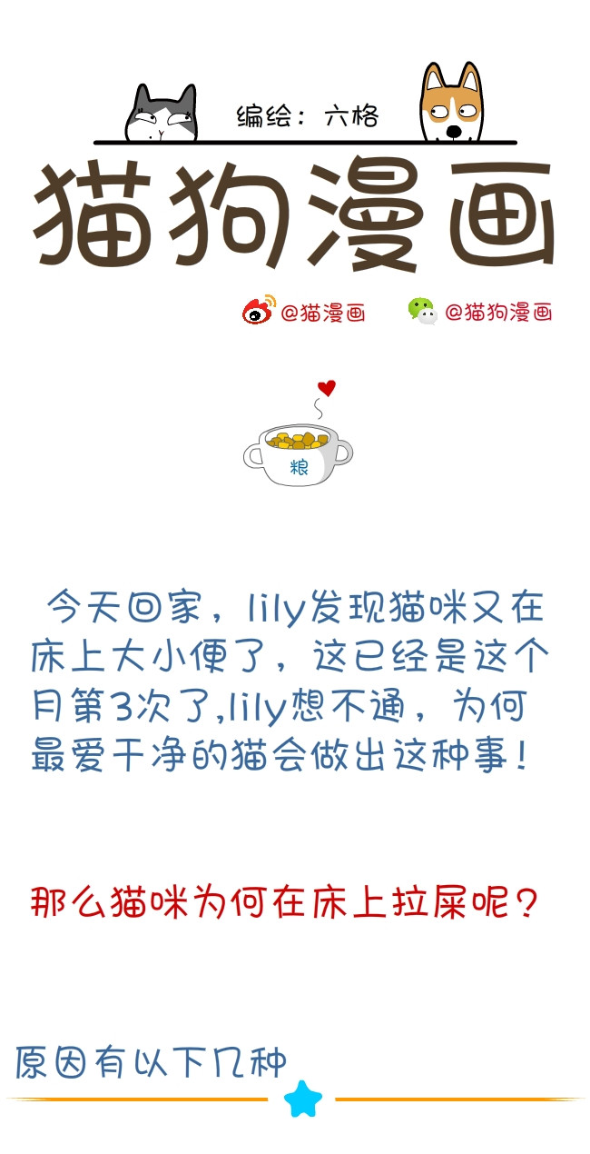 猫咪和铲屎官的幸福生活漫画,猫狗铲屎官漫画