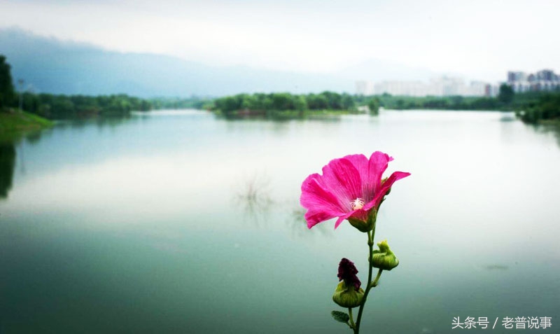 锐腾操控缺点,锐腾2.0t车主真实感受