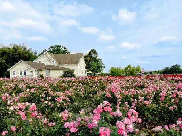 说走就走吧自驾环游,说走就走一起出发去旅行