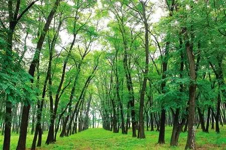 说走就走吧自驾环游,说走就走一起出发去旅行