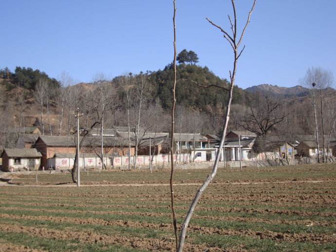 老婆给我戴绿帽子，但是我很爱她，我还能怎么办？