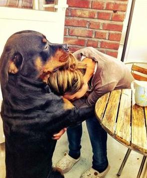 能让狗狗开心的话,让狗狗开心的几句话有哪些