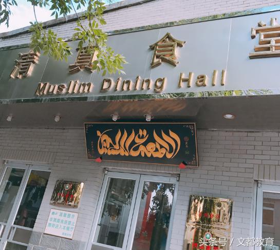 《大学我来了》走进北京理工大学——“乡”“村”上学故事