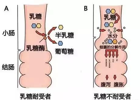 宝宝对奶粉过敏应该怎么解决,奶粉过敏的宝宝可以吃ad和d3吗