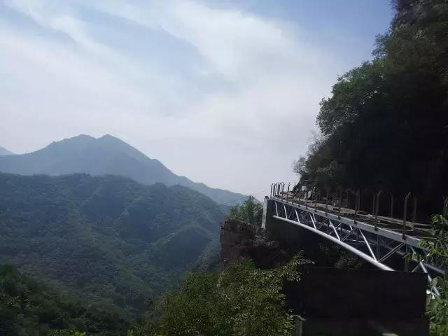 说走就走吧自驾环游,说走就走一起出发去旅行