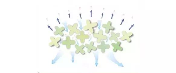 CG运动品牌,cg运动套装