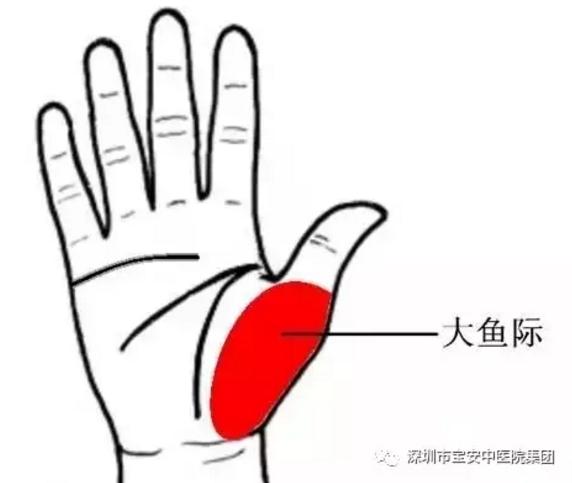 中医如何调理小儿过敏性咳嗽,中医小儿过敏性咳嗽怎么调理