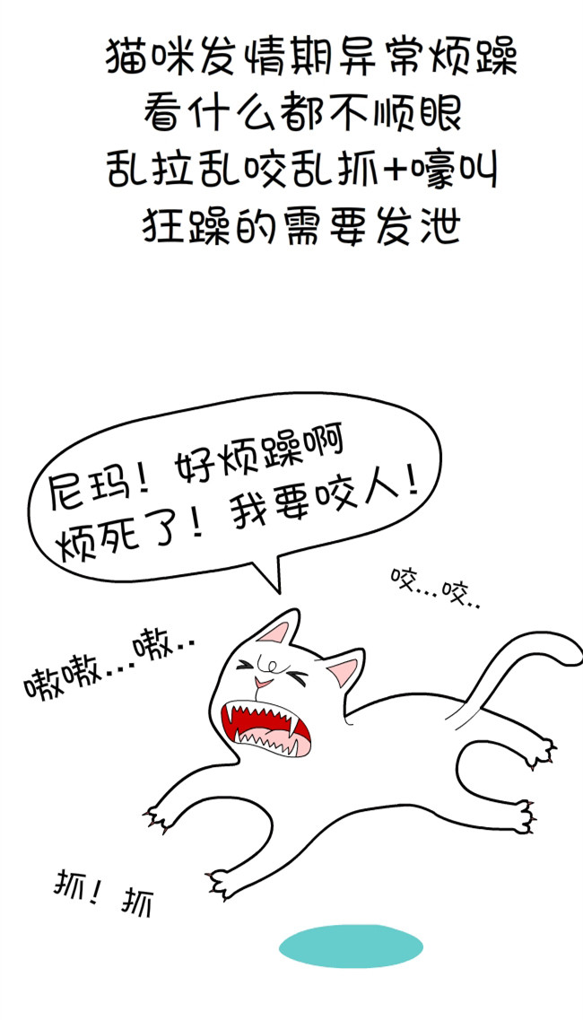 猫咪和铲屎官的幸福生活漫画,猫狗铲屎官漫画
