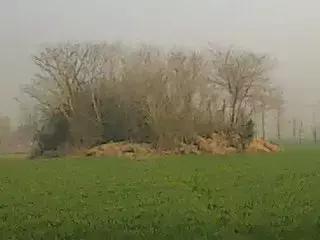 赵旭和安琪,赵旭和宁平