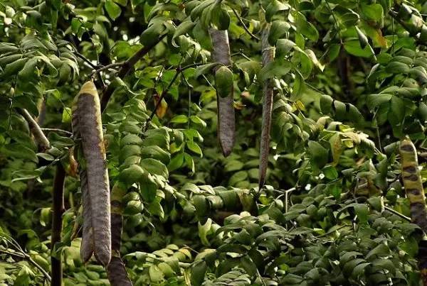 古代官员洗澡的假期叫什么,古代官员放假洗澡