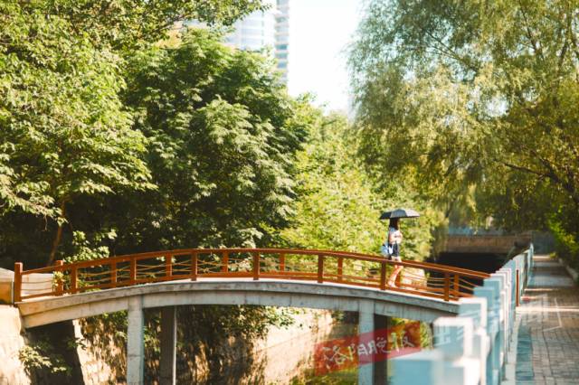 洛阳很美的公园,洛阳新增两个公园