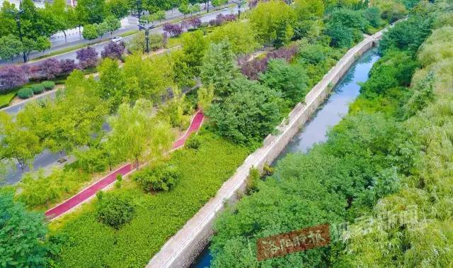 洛阳很美的公园,洛阳新增两个公园