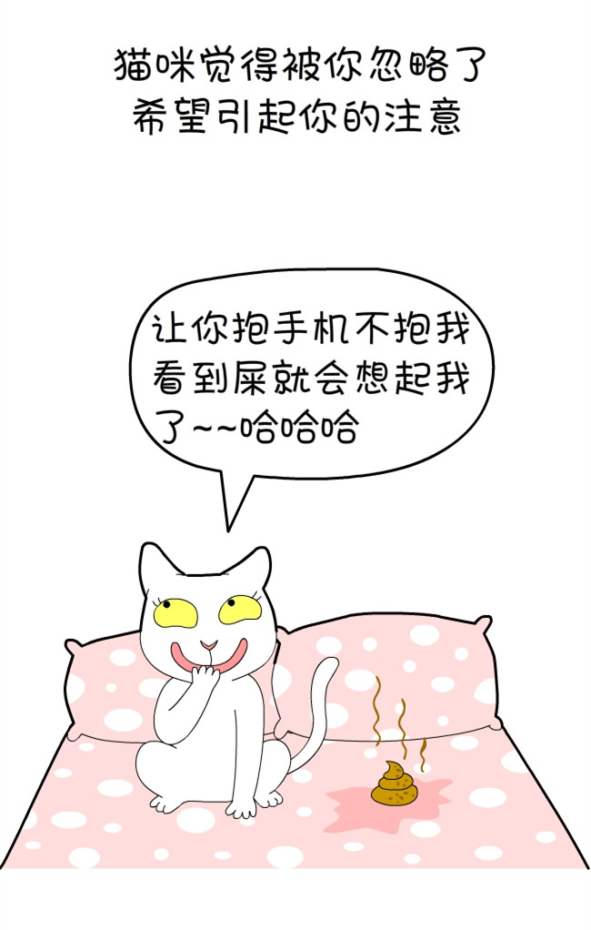 猫咪和铲屎官的幸福生活漫画,猫狗铲屎官漫画