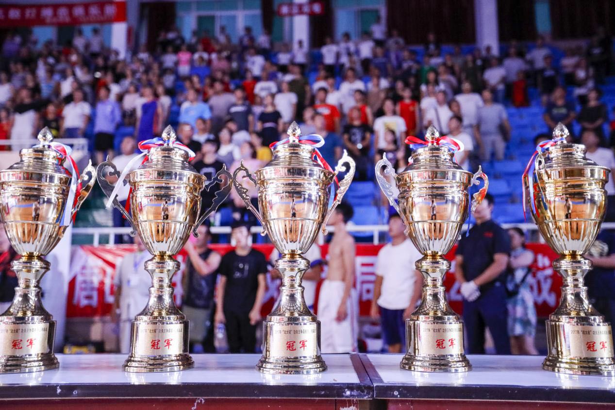 功夫王争霸赛太极拳,功夫王争霸赛