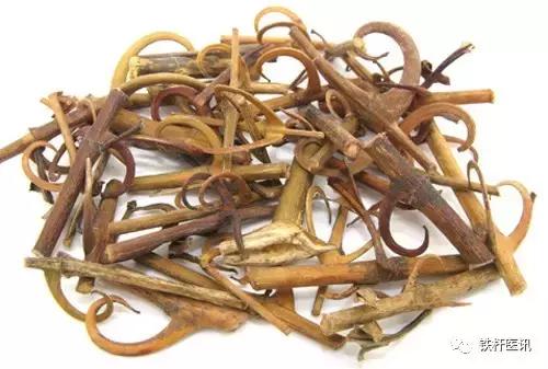 张镜人治胃病方子,国医大师张志远治高血压医案